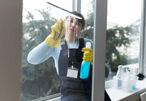 Nettoyage de vitres intérieures et extérieures à Saint-Bonnet-Elvert